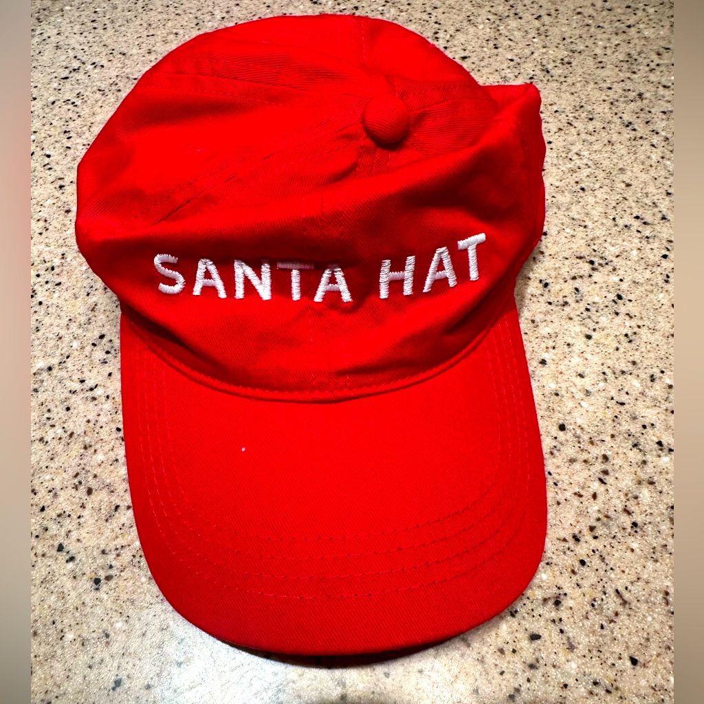 Living With Landyn Santa Hat Brand New Never Worn
